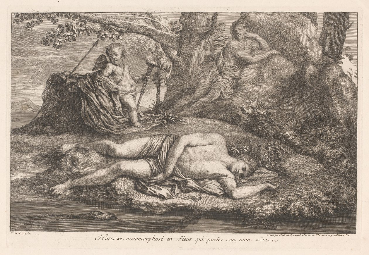 Narcissus i ekko Narcissus forvandlet til en blomst, der bærer hans navn (titel på objekt) af Gérard Audran