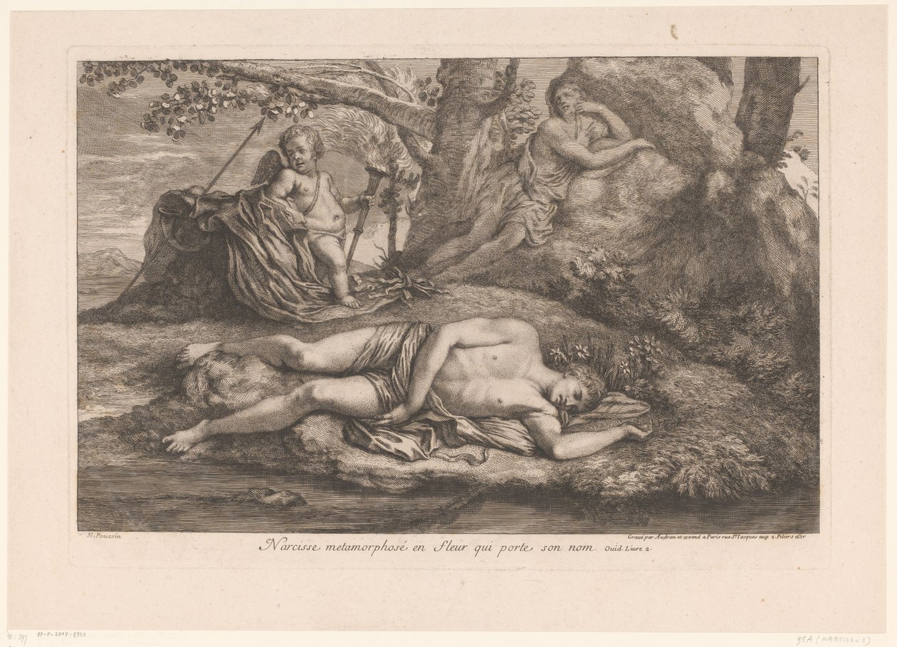 Narcissus i ekko Narcissus forvandlet til en blomst, der bærer hans navn (titel på objekt) af Gérard Audran