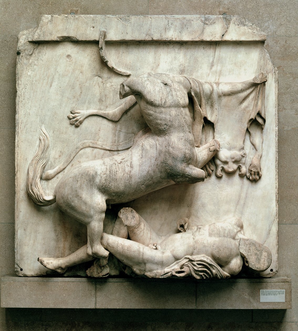 En kentaur sejrer over en Lapith, metope XXVIII fra sydsiden af Parthenon, 447-432 f.Kr. (marmor) af Greek
