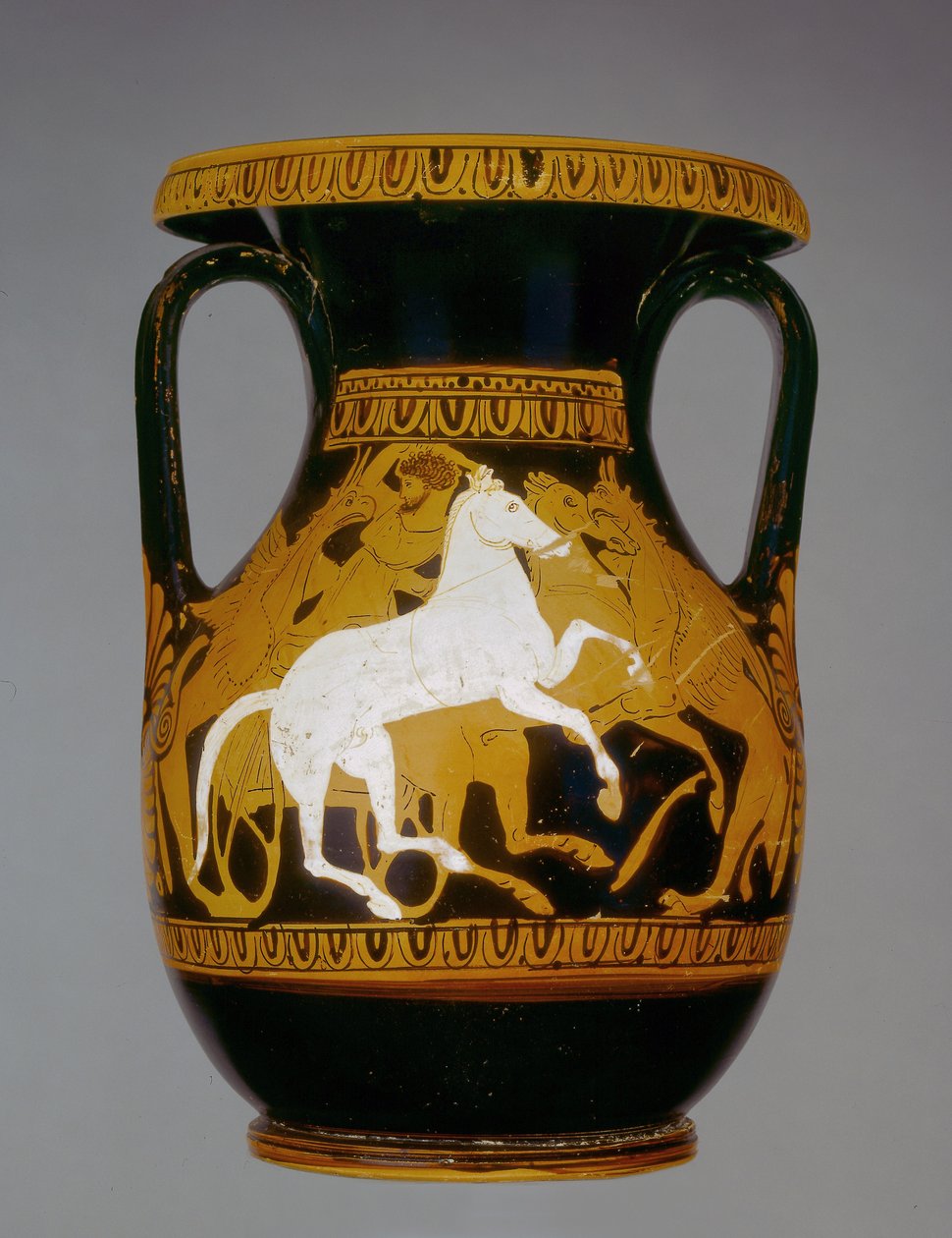Attic rød-figur pelike dekoreret med heste, der bliver angrebet af griffins, fundet i Athen, 4. århundrede f.Kr. (keramik) af Greek