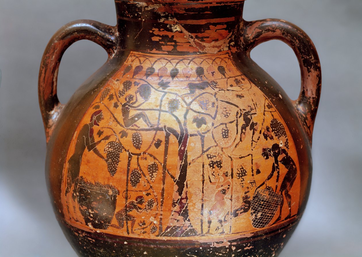 Amfora i Rhodian stil skildrer plukning af druer (keramik) af Greek