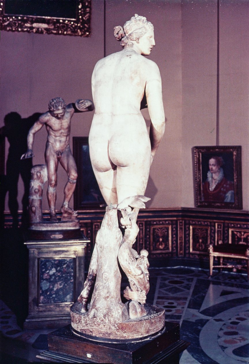Medici Venus, græsk, tidligt tredje århundrede f.Kr. (marmor) af Greek