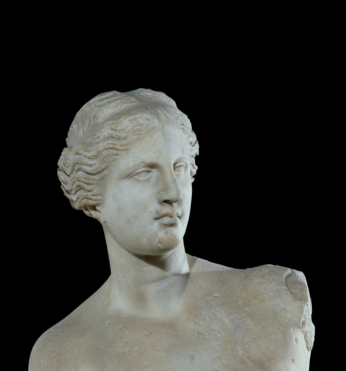 Leder af Venus de Milo, ca. 100 f.Kr. (marmor) (detalje) af Greek