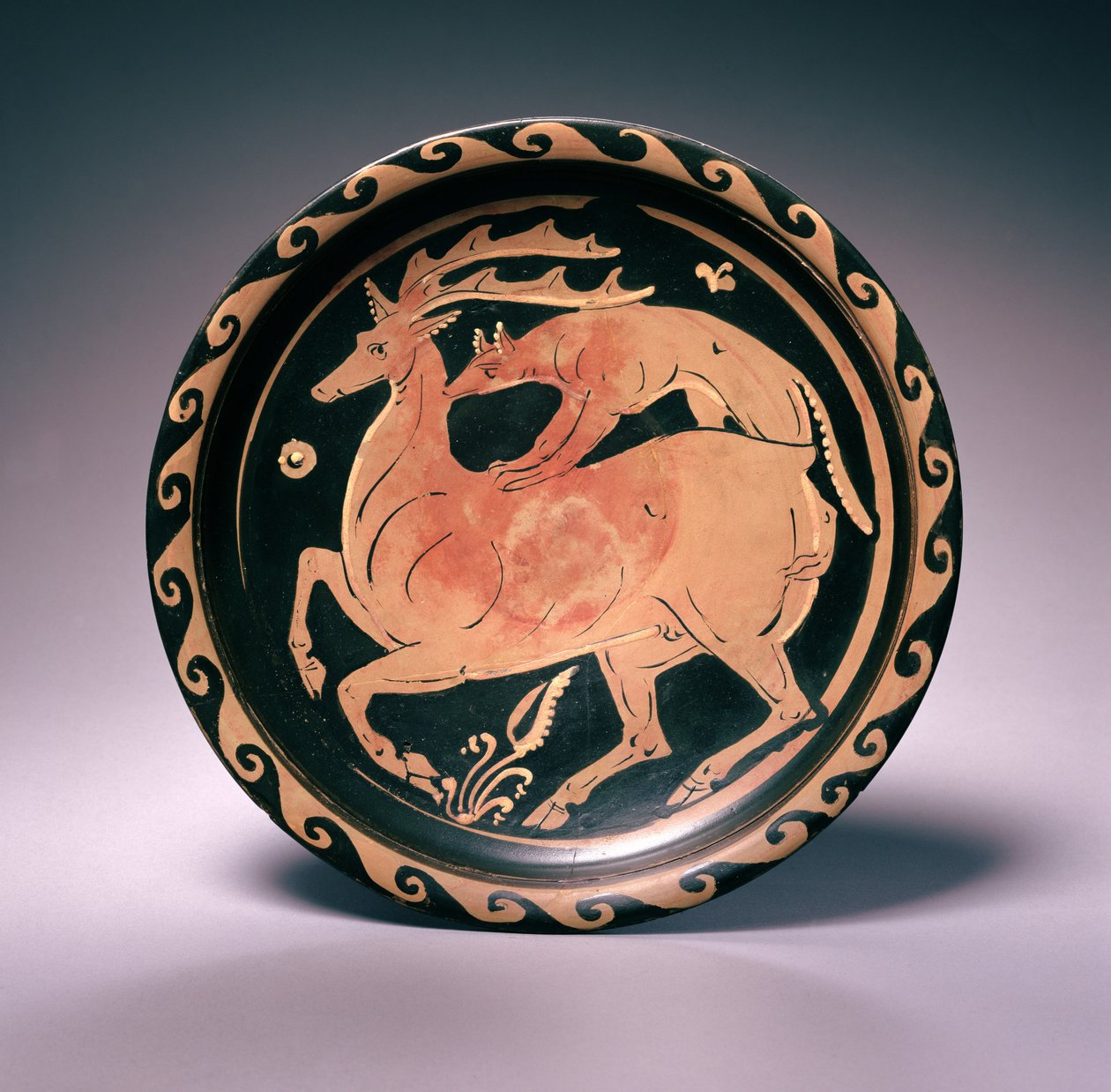 Apulisk rødfigurskål, tilskrevet Lampas-maleren, ca. 350-325 f.Kr. (terracotta) af Greek School