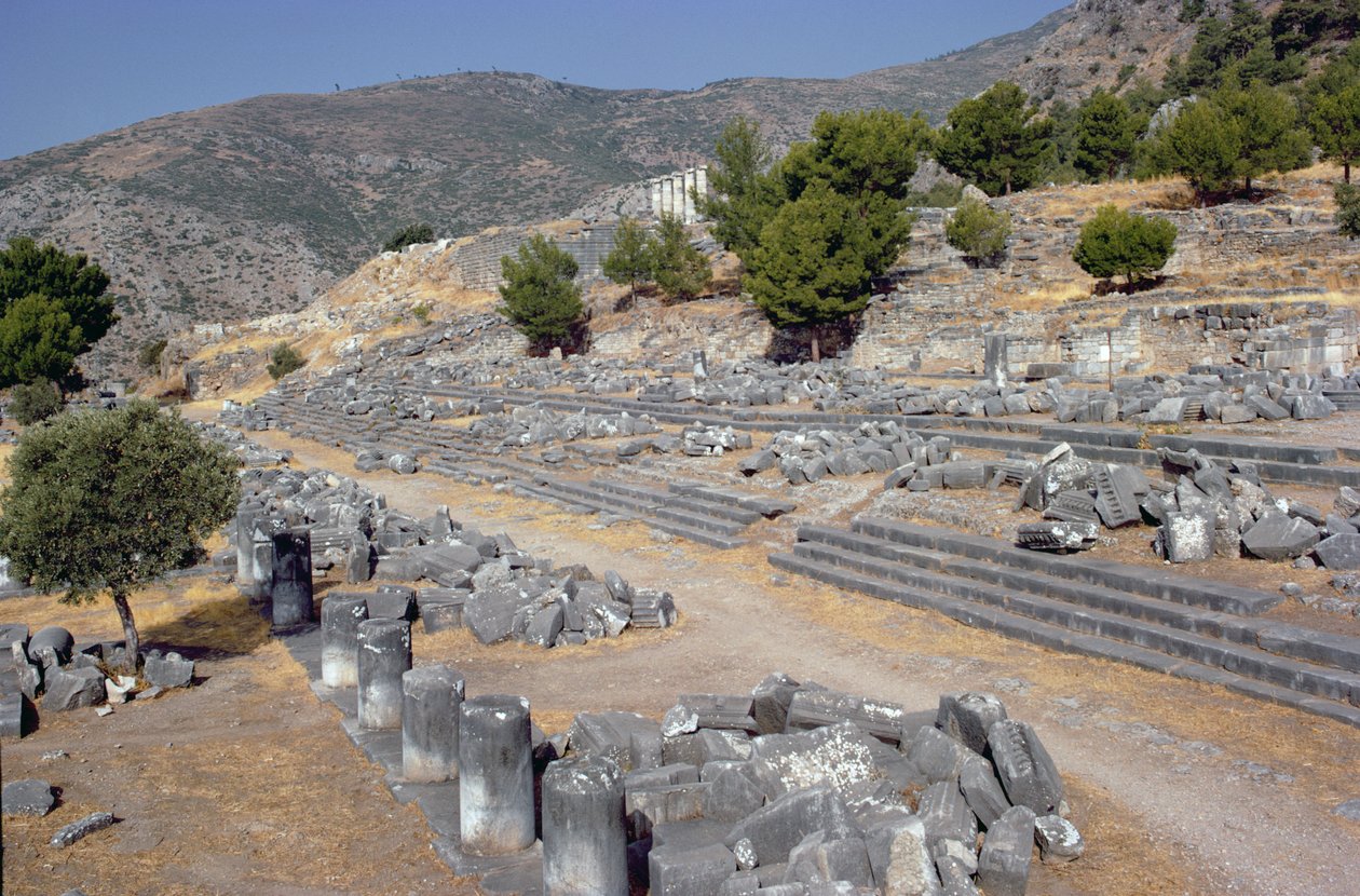 Generel udsigt med gaden og agora af Greek School