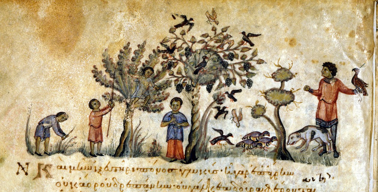 Jagt med falke for at fange fugle - i "" De Venatione"" af Oppianus, græsk manuskript fra det 13. århundrede. Biblioteca Marciana. Venedig af Greek School