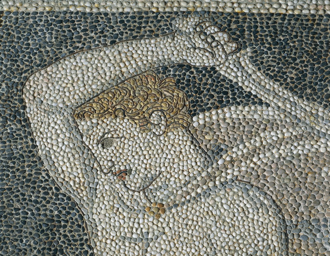 Krateros, ca. 320 f.Kr. (mosaik) (detalje af 332175) af Greek School