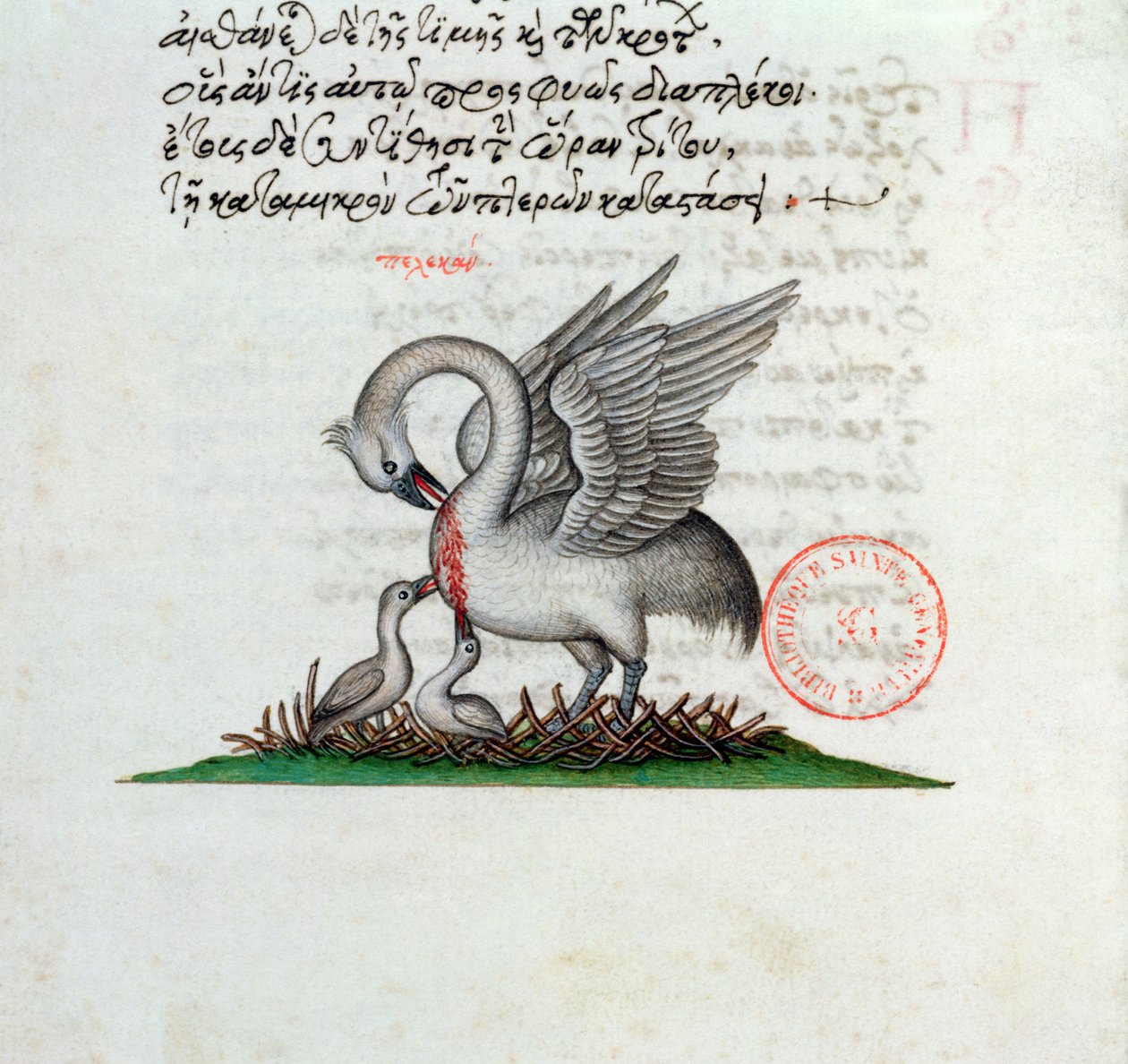 Ms 3401 En pelikan, der gennemborer sit bryst for at fodre sine unge, fra et bestiary af Manuel Philes, 1566 af Greek School