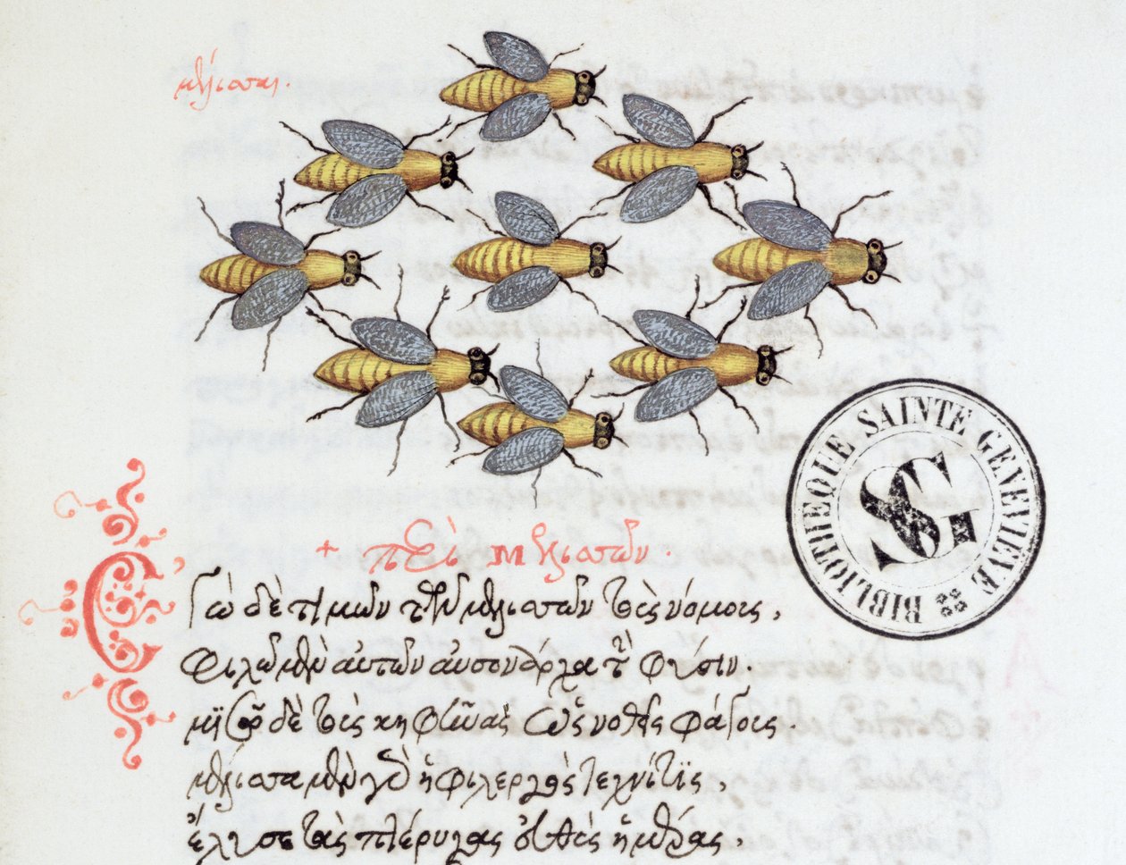 Ms 3402 Bees, fra et Bestiary af Manuel Philes, 1566 af Greek School