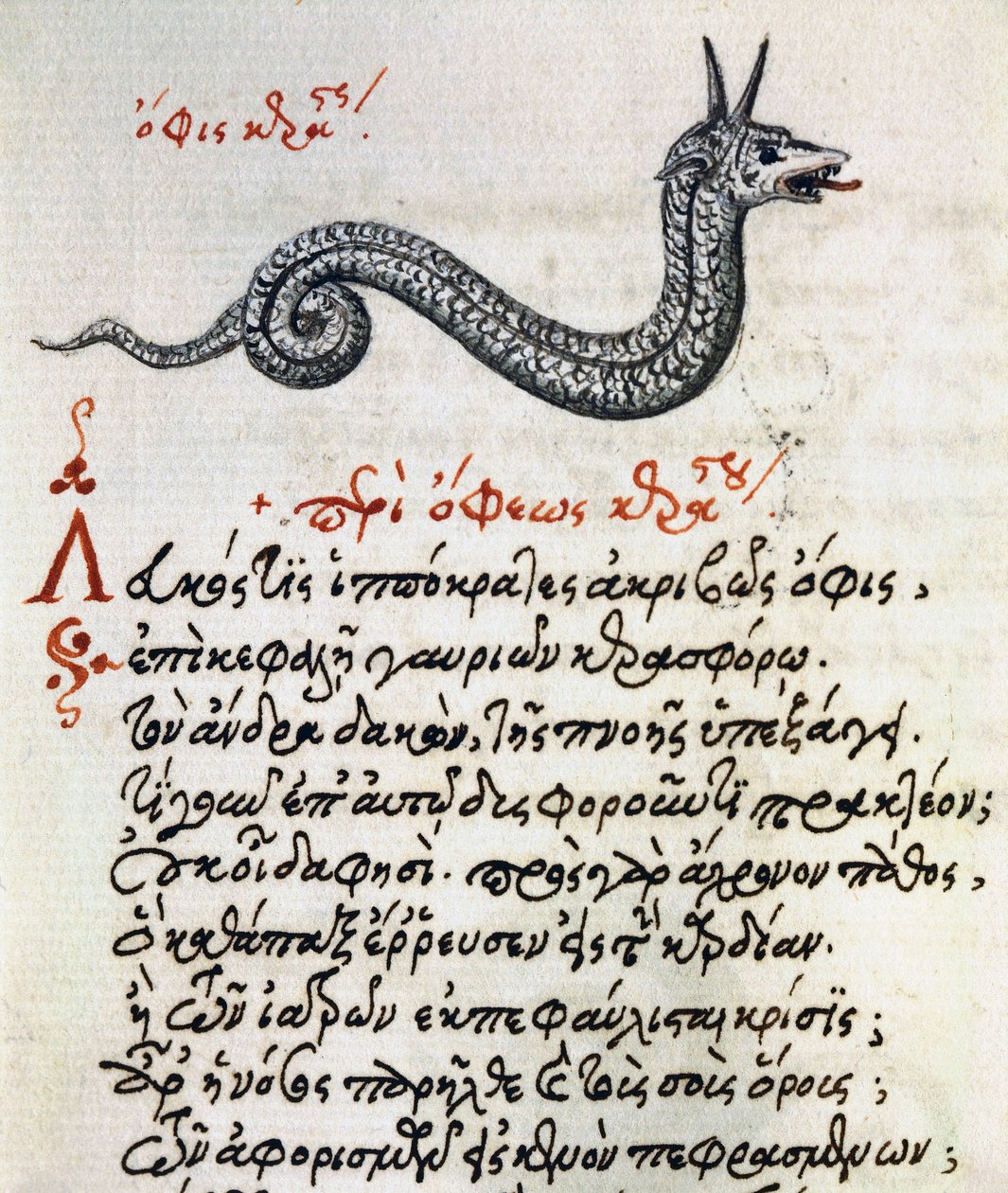 Afhandling om Basilisk, test og miniature fra Aelianus (2.-3. århundrede e.Kr.) af Greek School