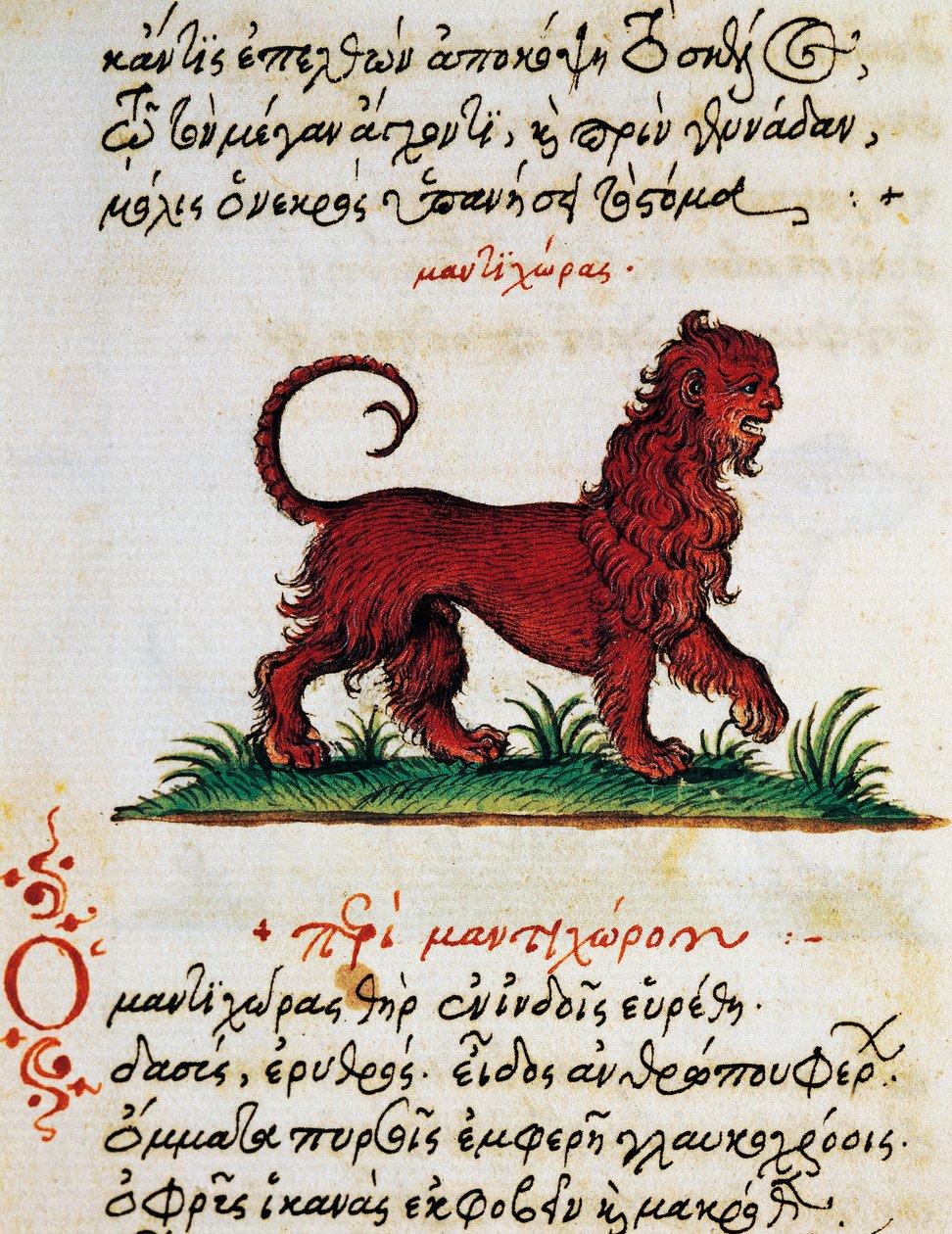 Afhandling om Gryphon, test og miniature fra Aelianus (2.-3. århundrede e.Kr.) af Greek School