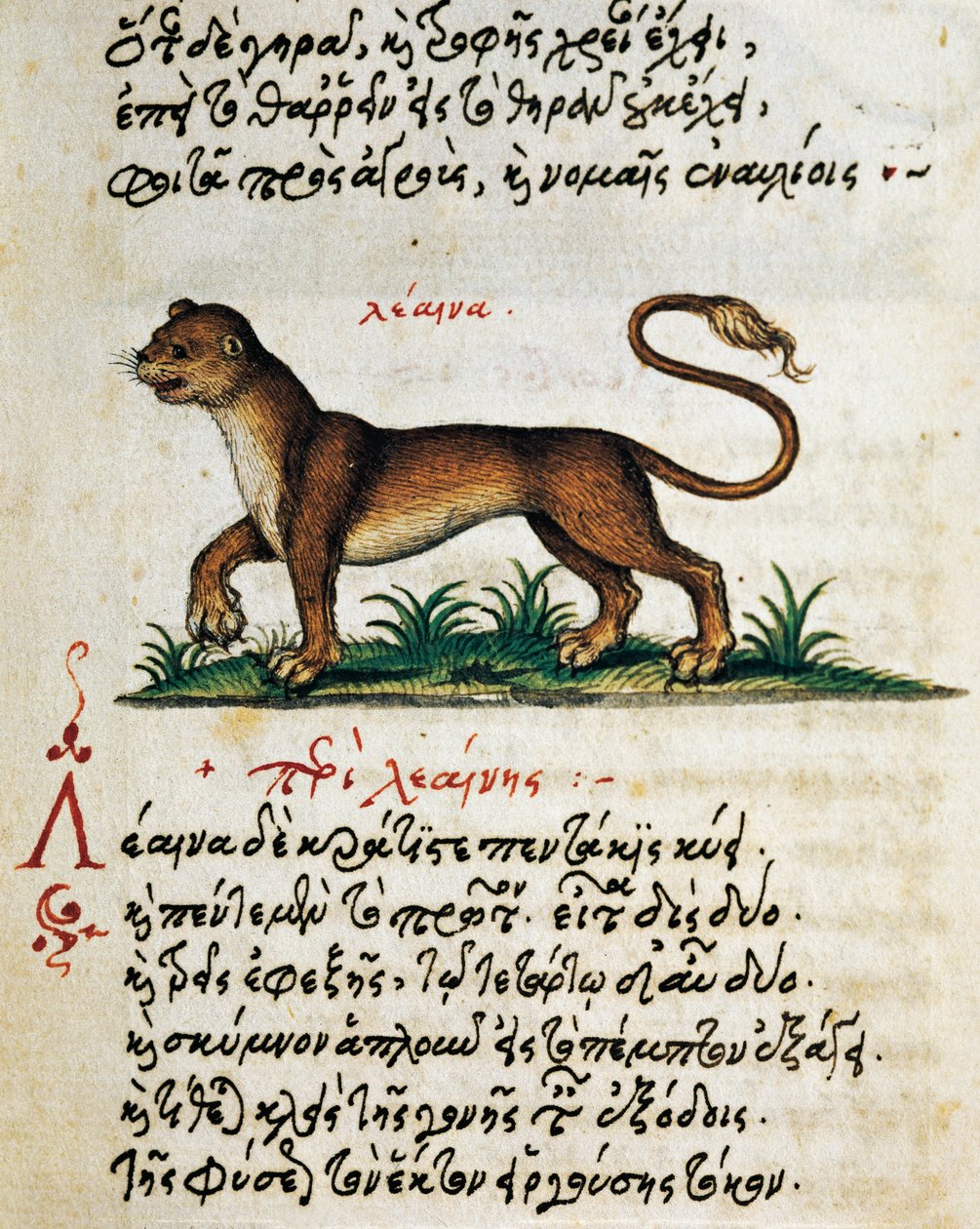 Afhandling om løve, test og miniature fra Aelianus (2.-3. århundrede e.Kr.) af Greek School