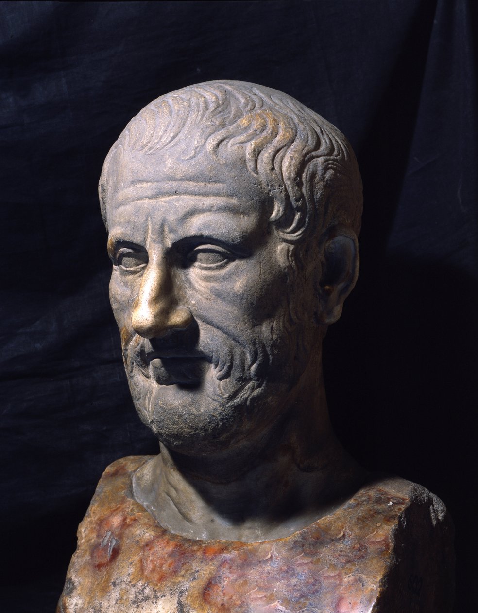 Repræsentation af den græske filosof Theophraste (372-287 f.Kr.). af Greek or Roman
