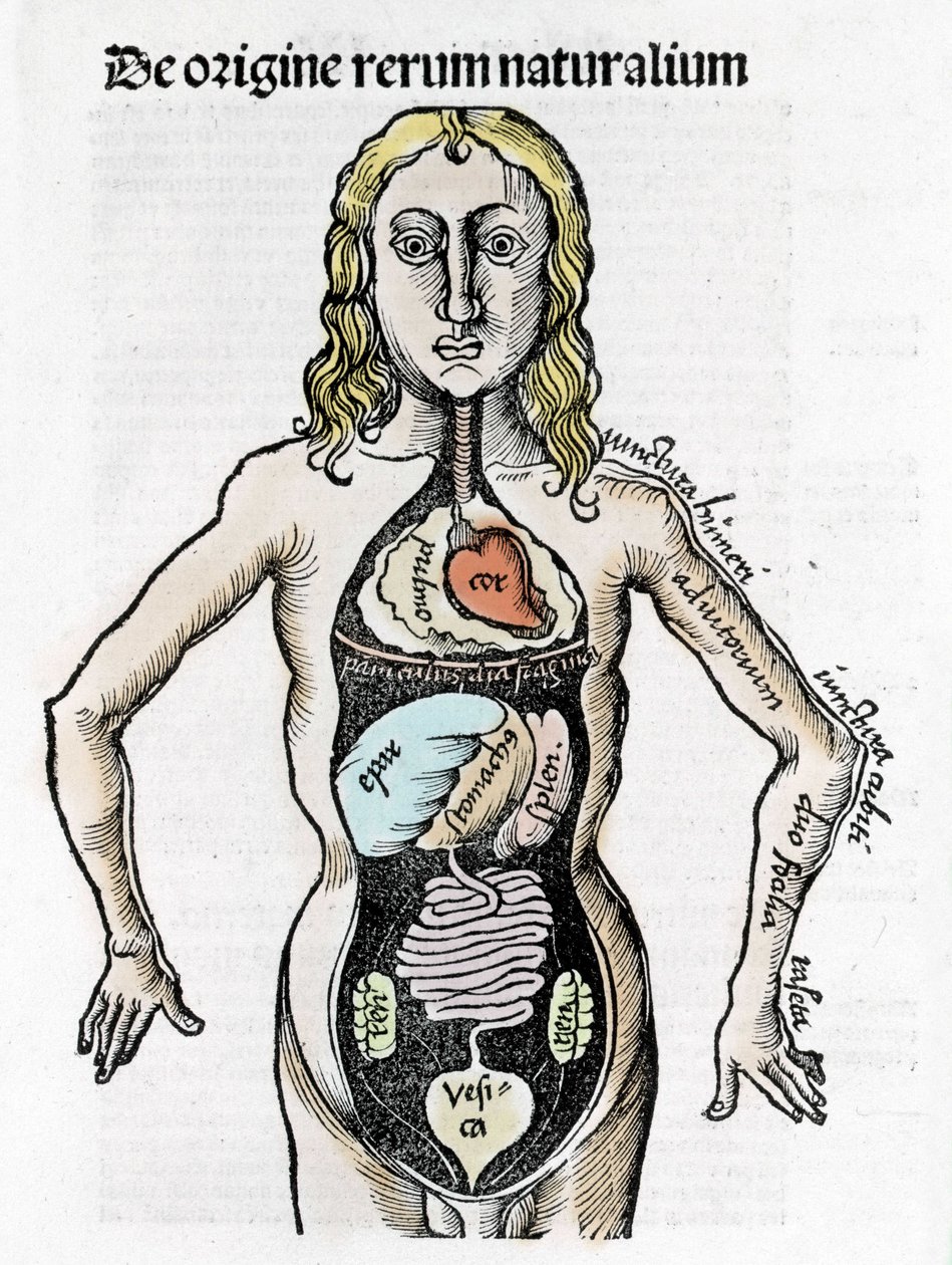 Gregor Reisch (1467-1525), Bale 1517 - Margaret af Philosophica (1467-1525), Bale af Gregor Reisch