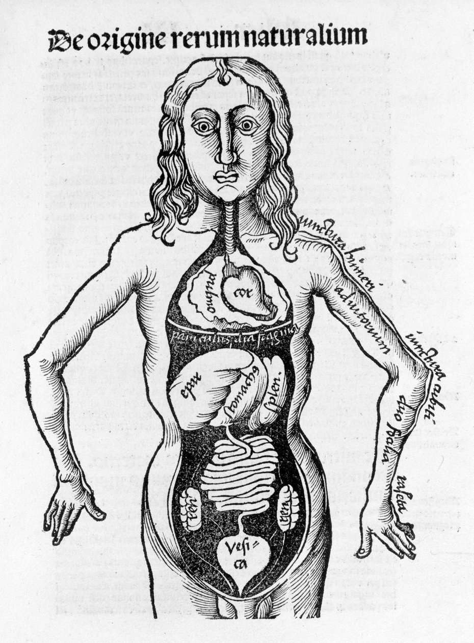 Gregor Reisch (1467-1525), Bale 1517 - Margaret af Philosophica (1467-1525), Bale af Gregor Reisch