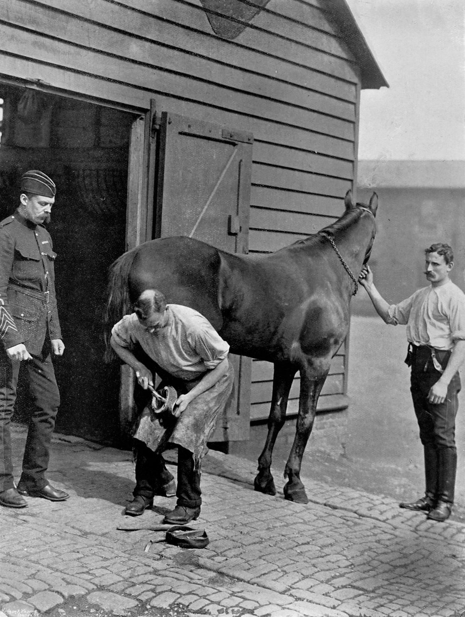 Hovslager-majoren af Royal Horse Guard, 1896. af Gregory and Co