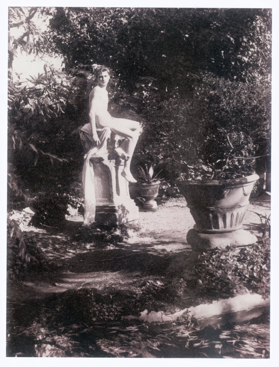 Fotograf (foto) af Guglielmo (1852 1930) Plüschow