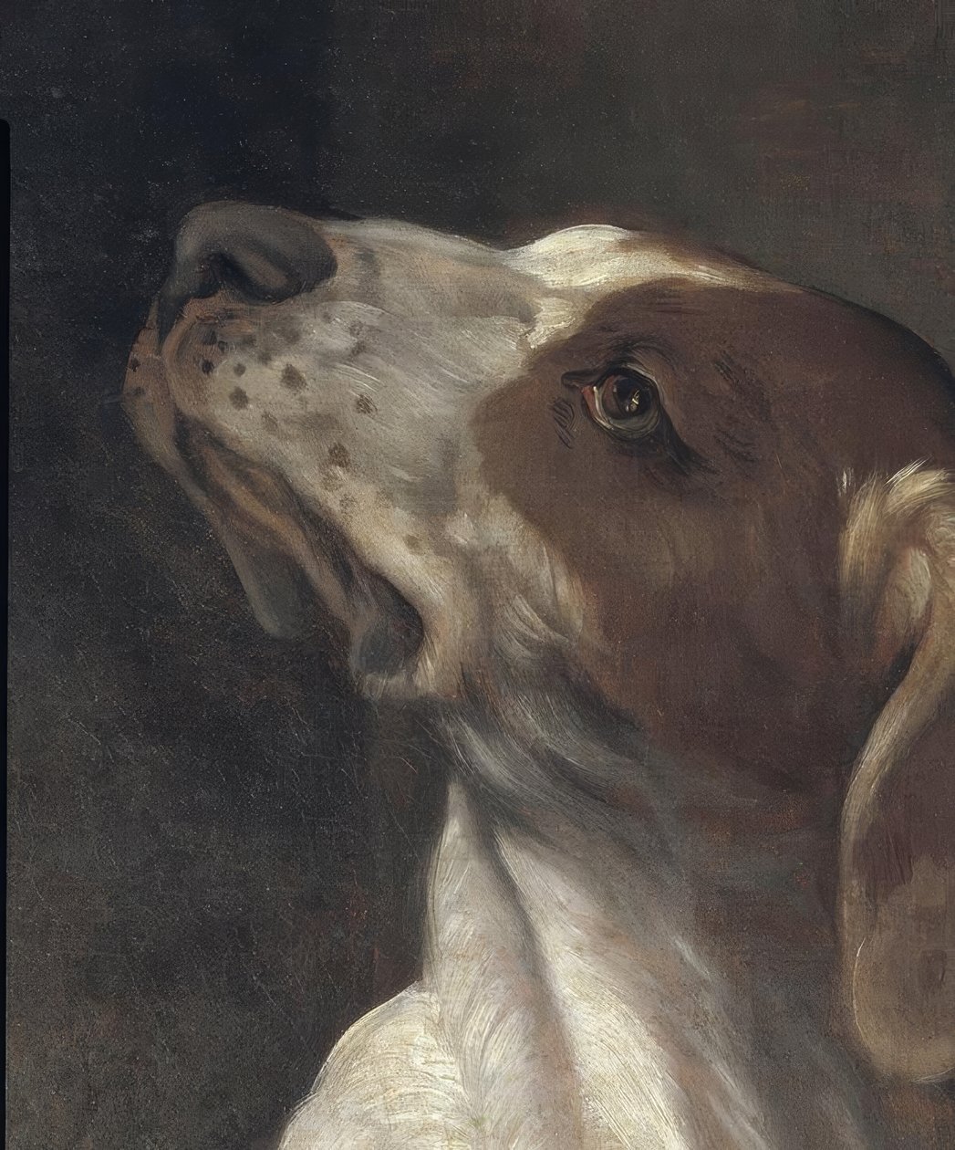 Saint Roch i fængsel, trøstet af en engel af Guido Reni