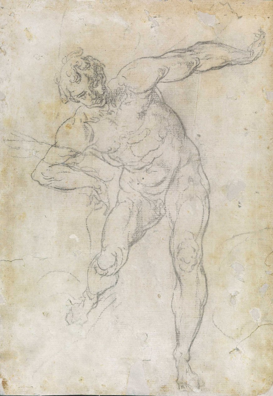 Mandlig nøgen undersøgelse af Guido Reni