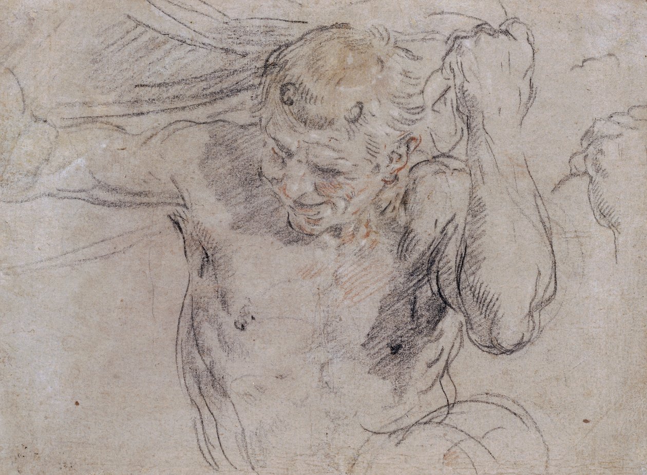 Et Satyrløftende Draperi og en Undersøgelse af hans venstre Haand af Guido Reni