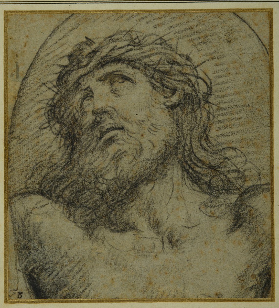 Hoved og skuldre af den levende Kristus korsfæstede (sort kridt på carta azzurra) af Guido Reni