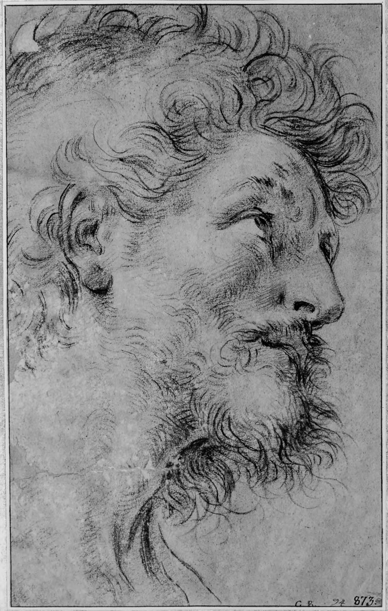Studie af Sankt Crispins hoved af Guido Reni