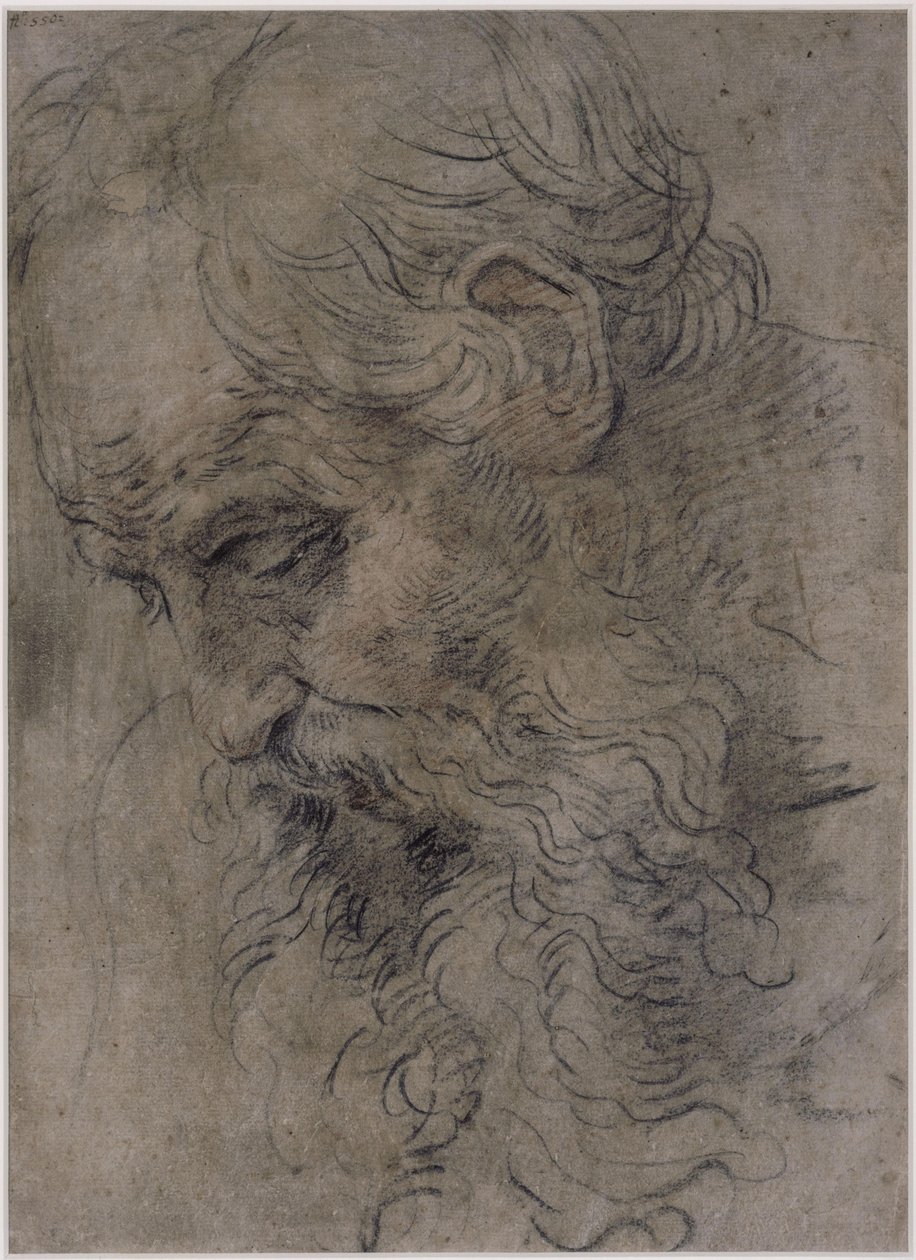 Hoved af den hellige Paulus Eremitten af Guido Reni