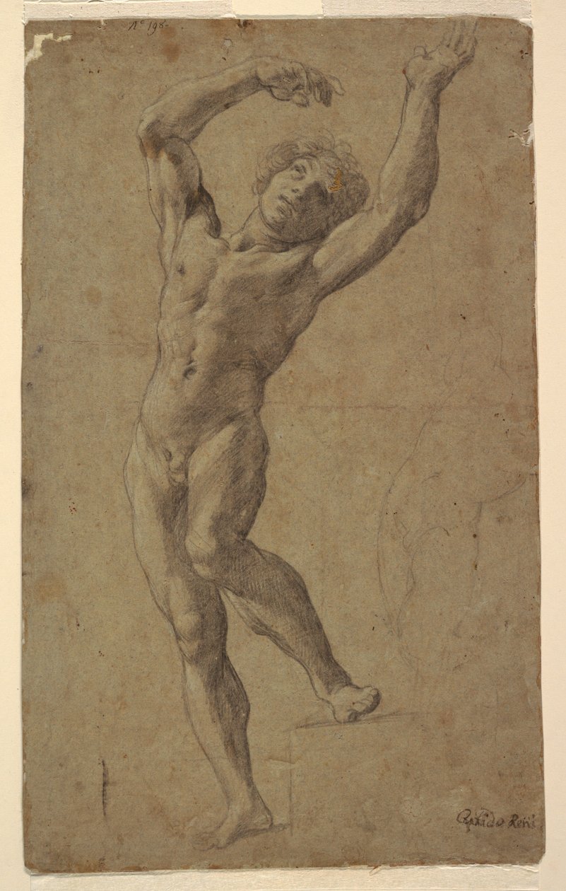 Undersøgelse for St. Sebastian, Pomarici Santomasi Museum, Puglia, Italien af Guido Reni