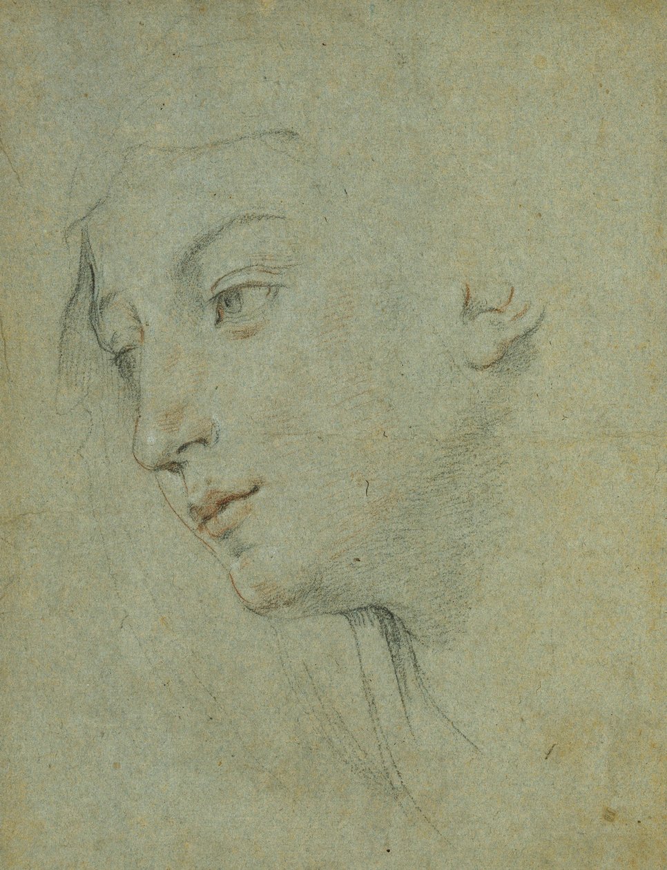 Hovedet af en kvinde, der ser ned til venstre, af Guido Reni