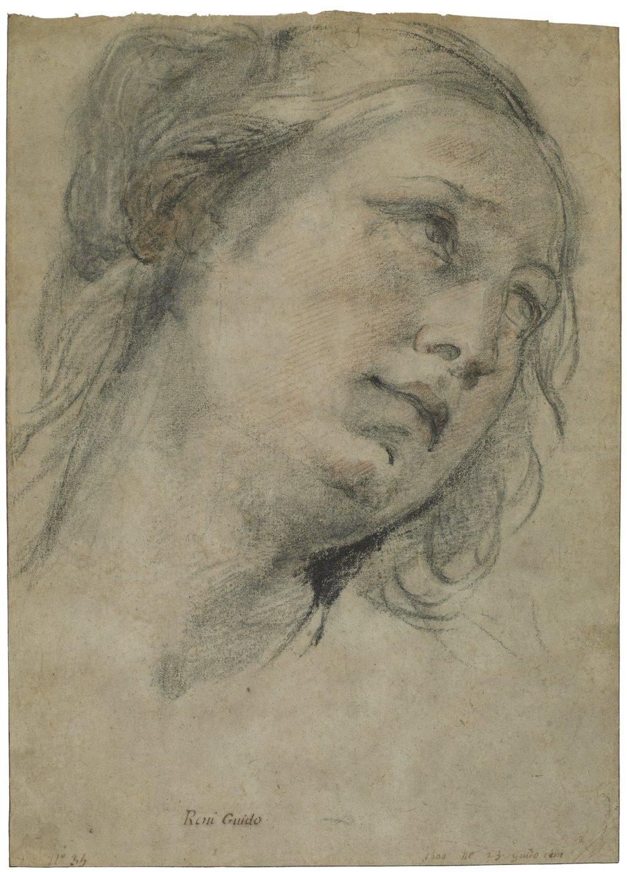 The Head of a Young Woman Looking Upward, ca. 1609 (sort og rødt kridt med strejf af hvidt kridt på brunt lagt papir) af Guido Reni