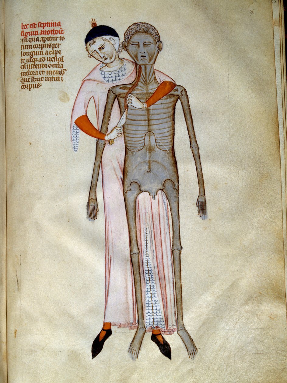 Kirurgi: Dissektion af thorax. Miniature i ""Liber notables Philippi, frankernes syvende konge, uddrag fra Galiens bøger"" skrevet af Gui (Guy) af Pavia af Guido da Vigevano da Pavia