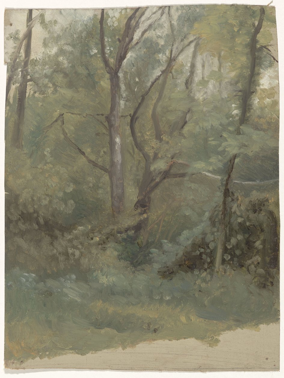 skov udsigt af Guillaume Anne van der Brugghen