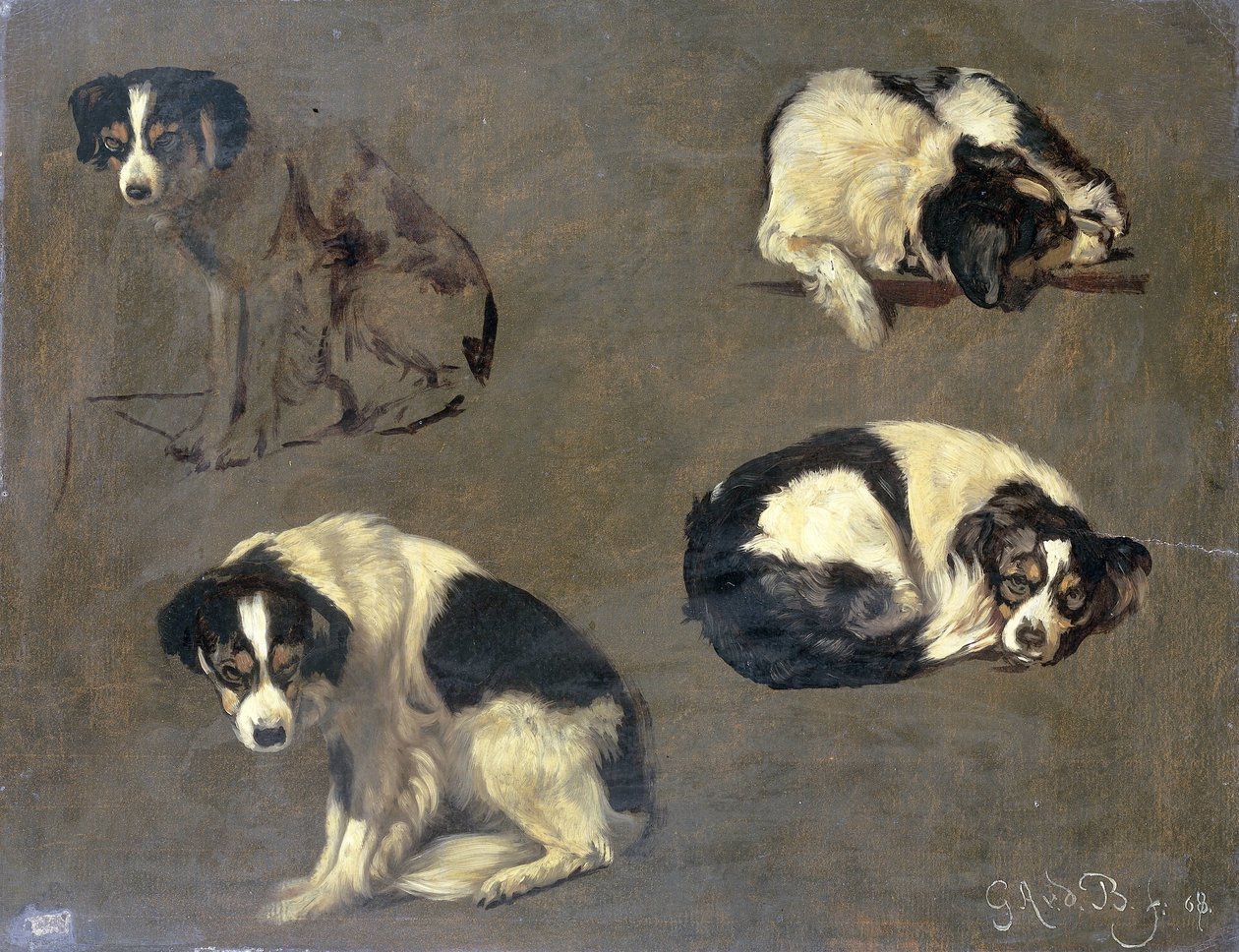 Fire undersøgelser af en hund af Guillaume Anne van der Brugghen