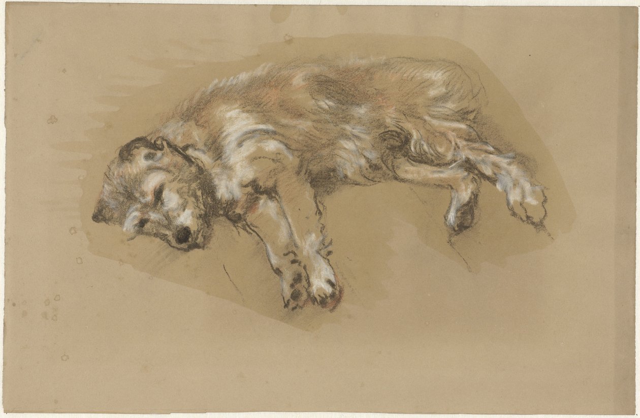 liggende hund af Guillaume Anne van der Brugghen