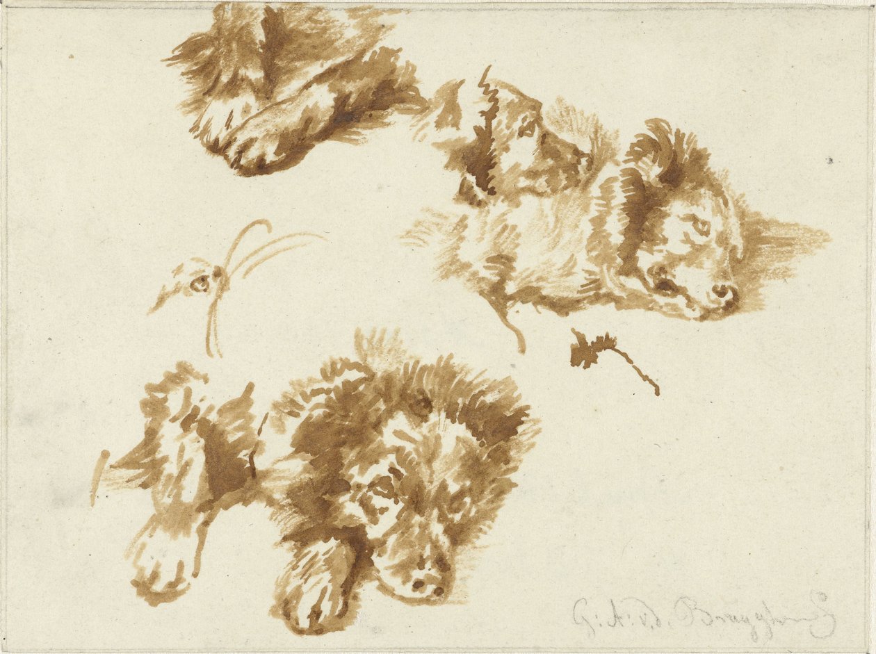 Studier af en hund af Guillaume Anne van der Brugghen