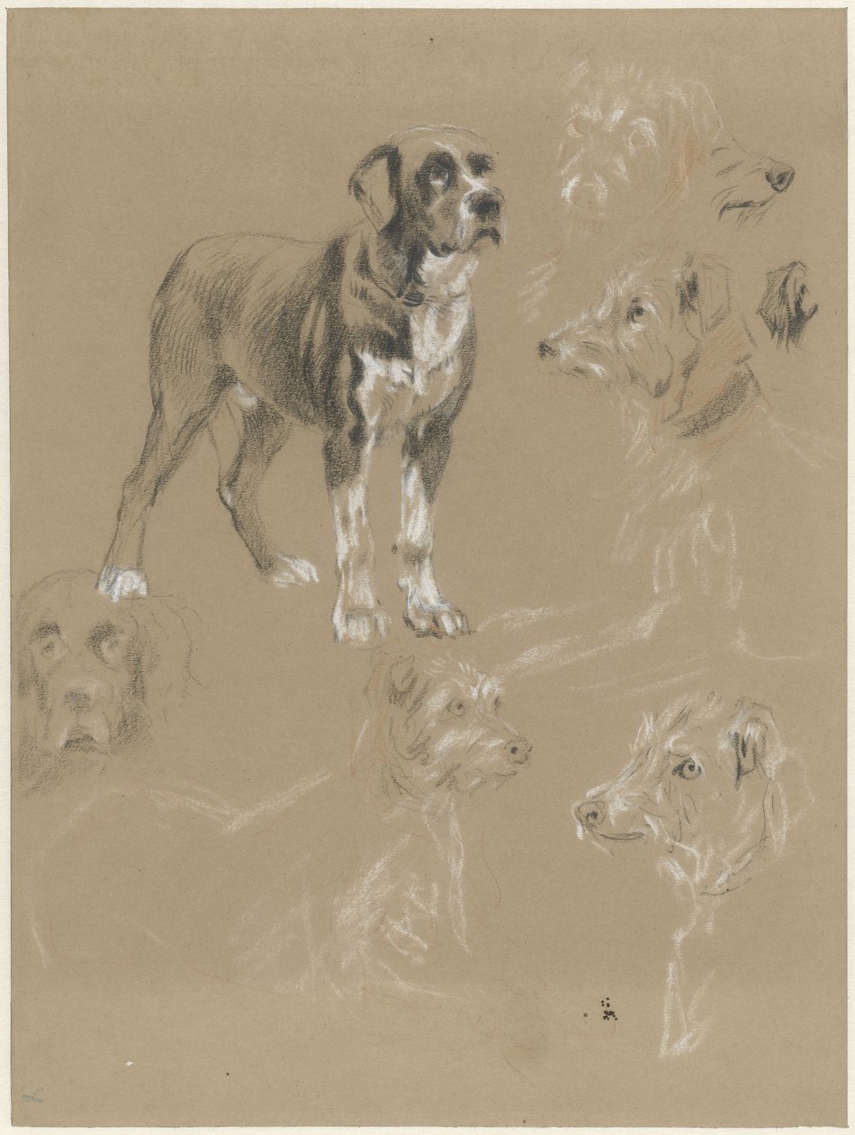 Studier af en hund af Guillaume Anne van der Brugghen