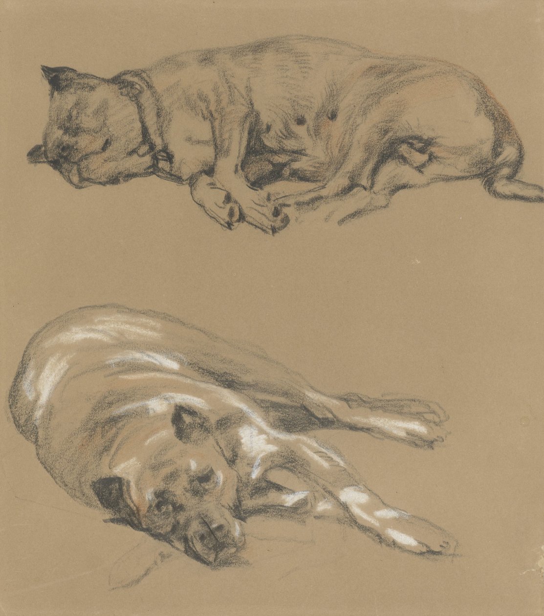 To undersøgelser af en liggende hund af Guillaume Anne van der Brugghen