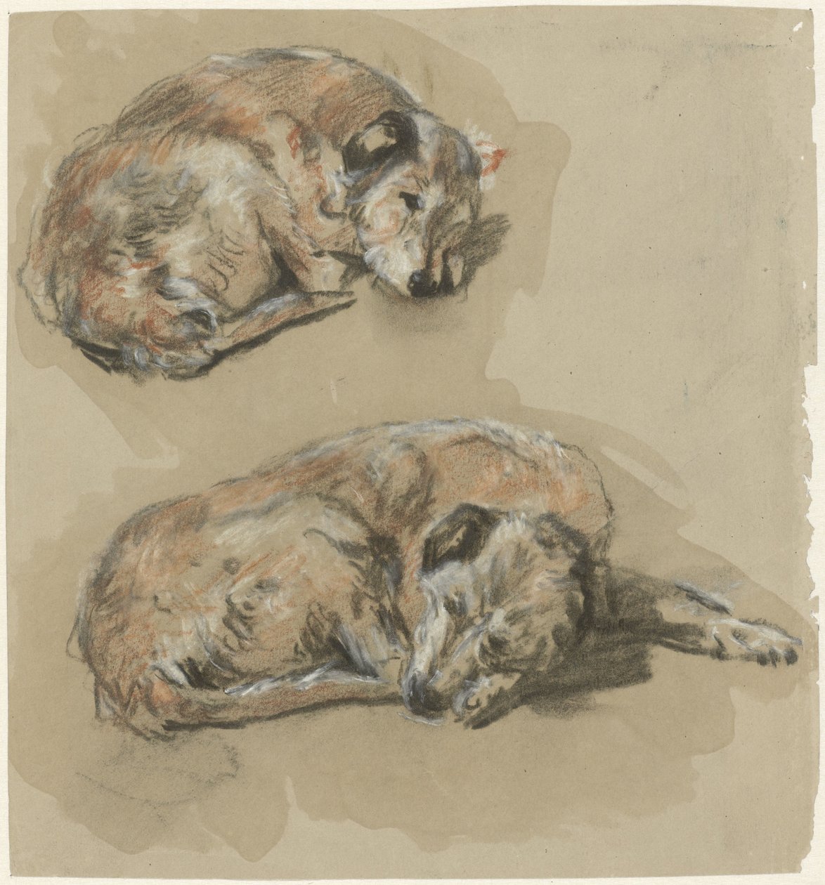 To undersøgelser af en liggende hund af Guillaume Anne van der Brugghen
