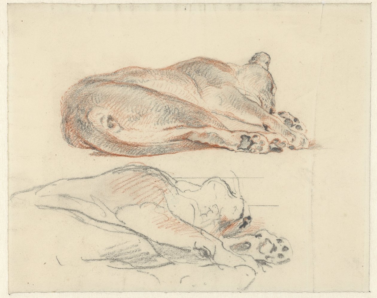 To undersøgelser af en tilbagelænet tiger af Guillaume Anne van der Brugghen