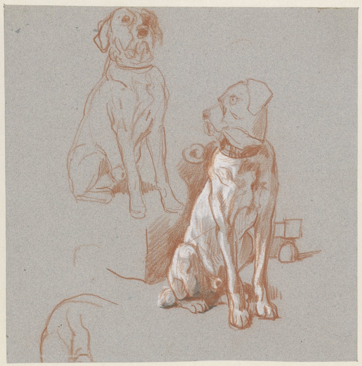 To undersøgelser af en siddende hund af Guillaume Anne van der Brugghen
