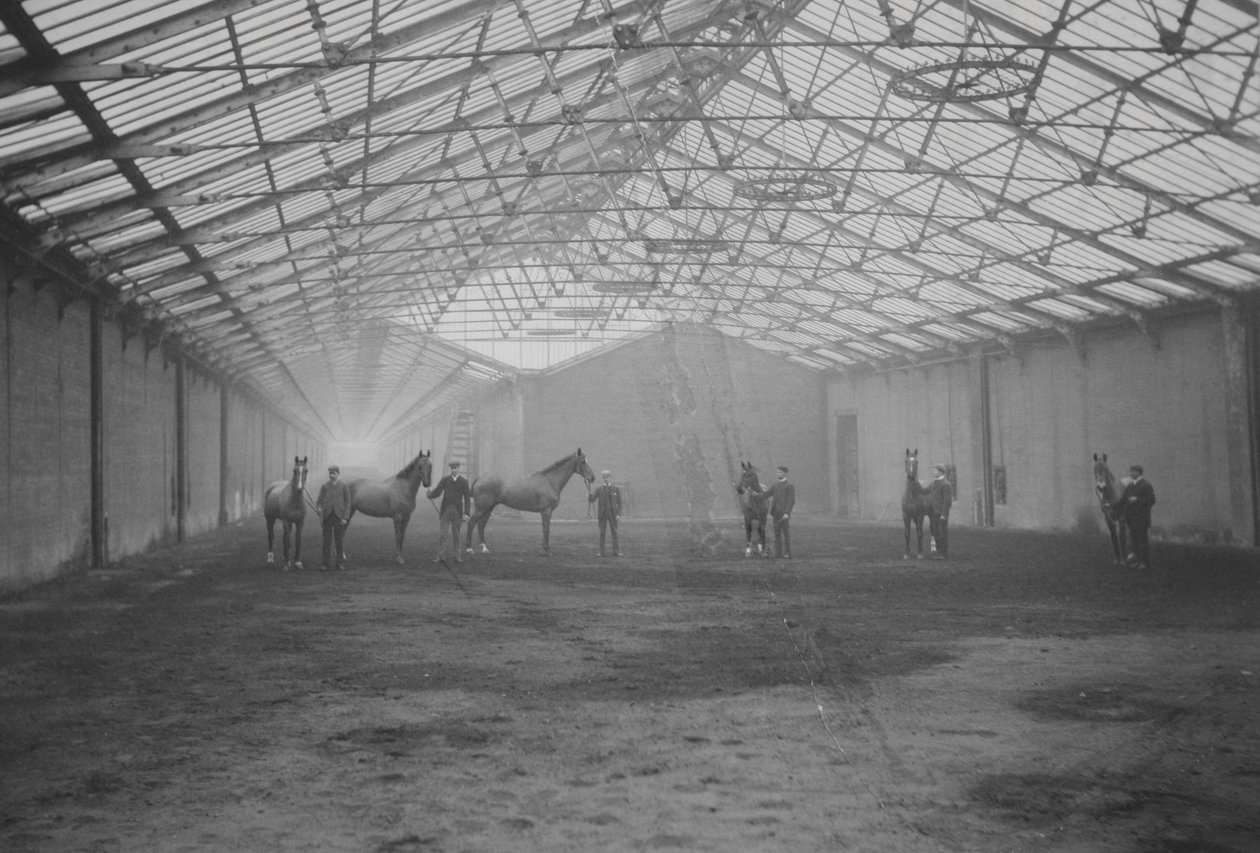 Heste og grooms i Tan Galop, Welbeck Estate (s/h-billede) af Gunn and Stuart