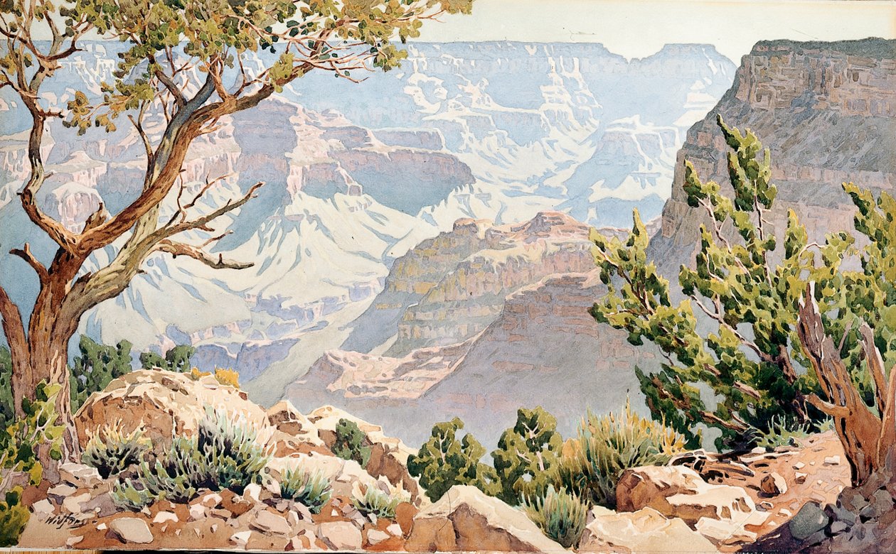 Grand Canyon (w/c ombord) af Gunnar Widforss