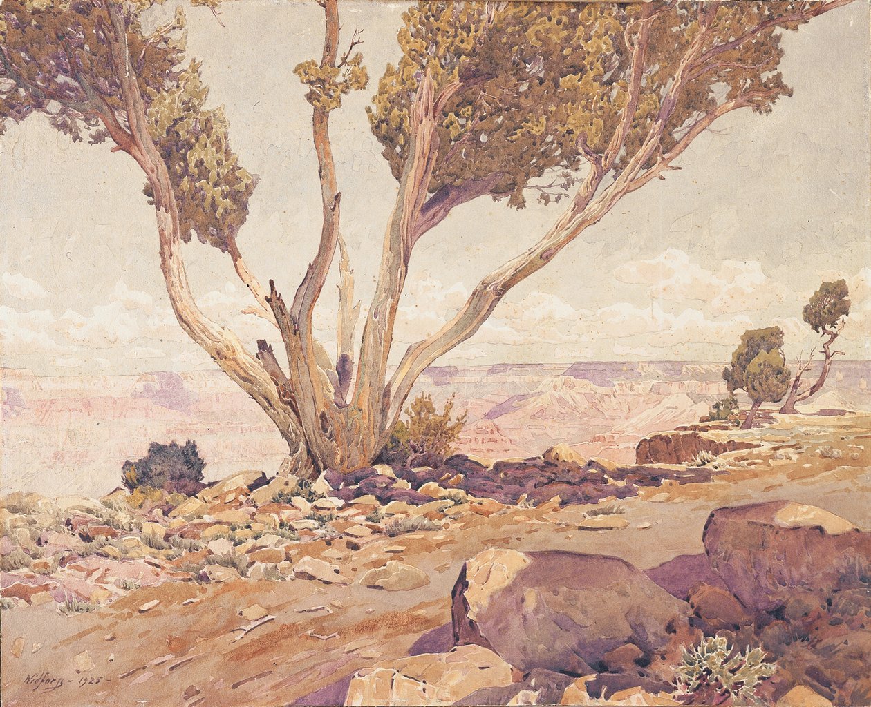 Grand Canyon af Gunnar Widforss