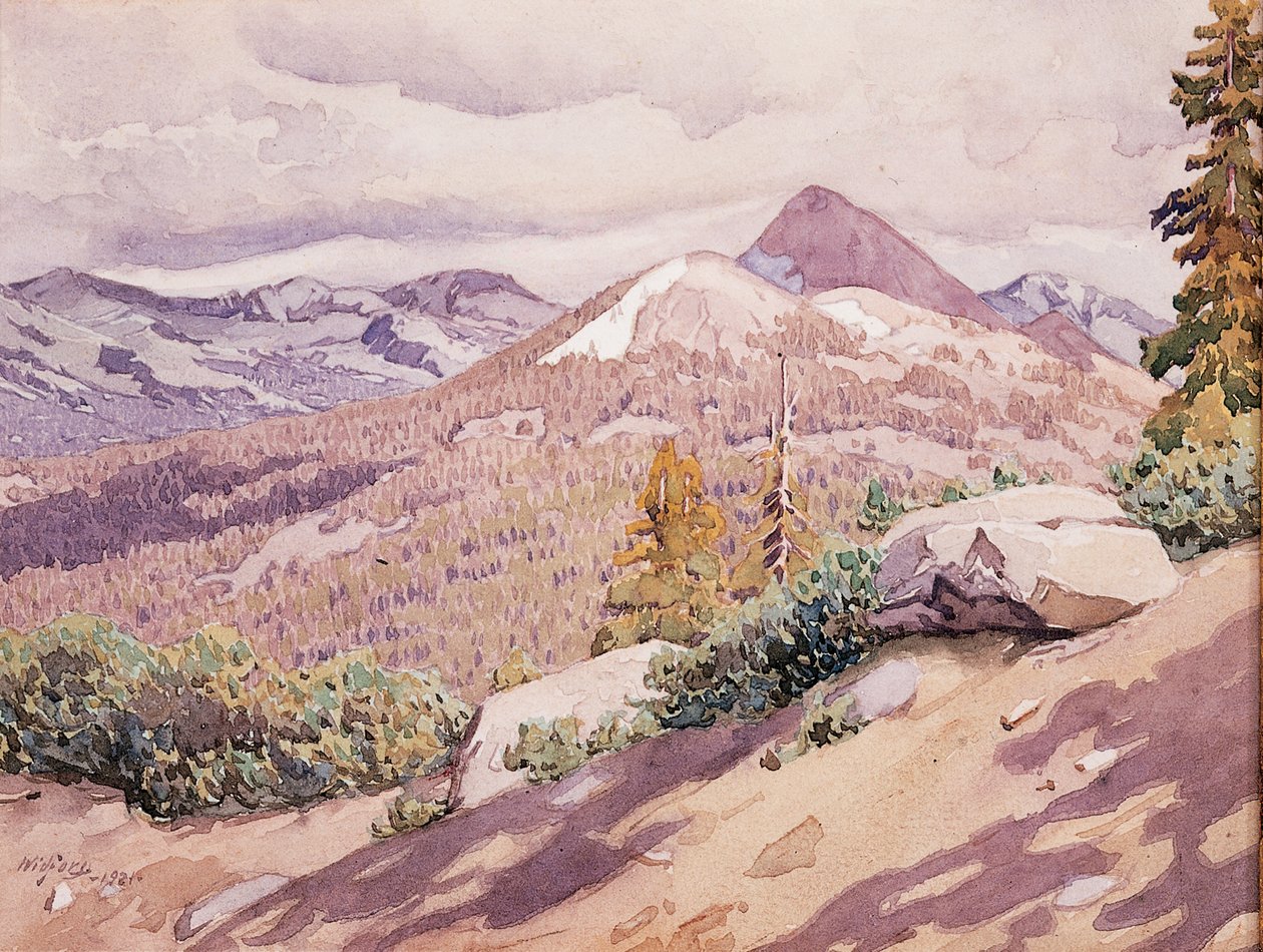 Høj Sierra af Gunnar Widforss