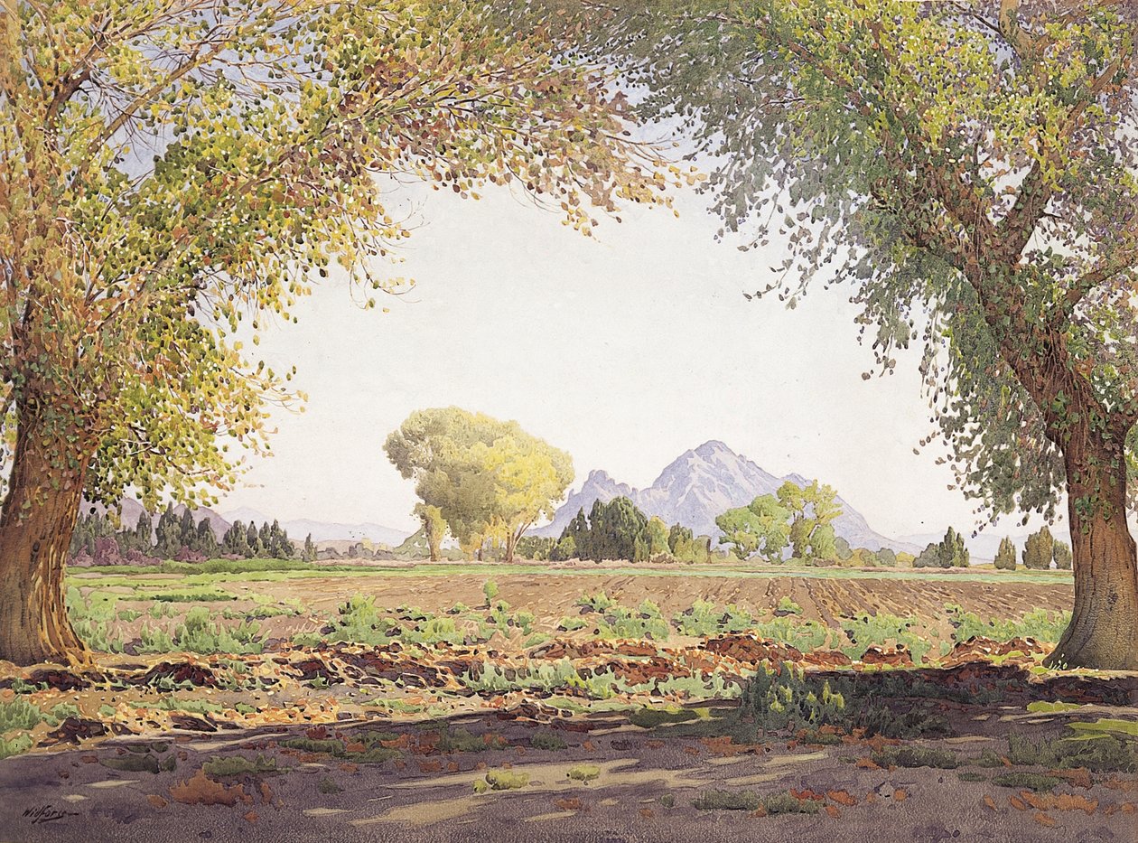 Salt River Valley (w/c & gouache på papir) af Gunnar Widforss