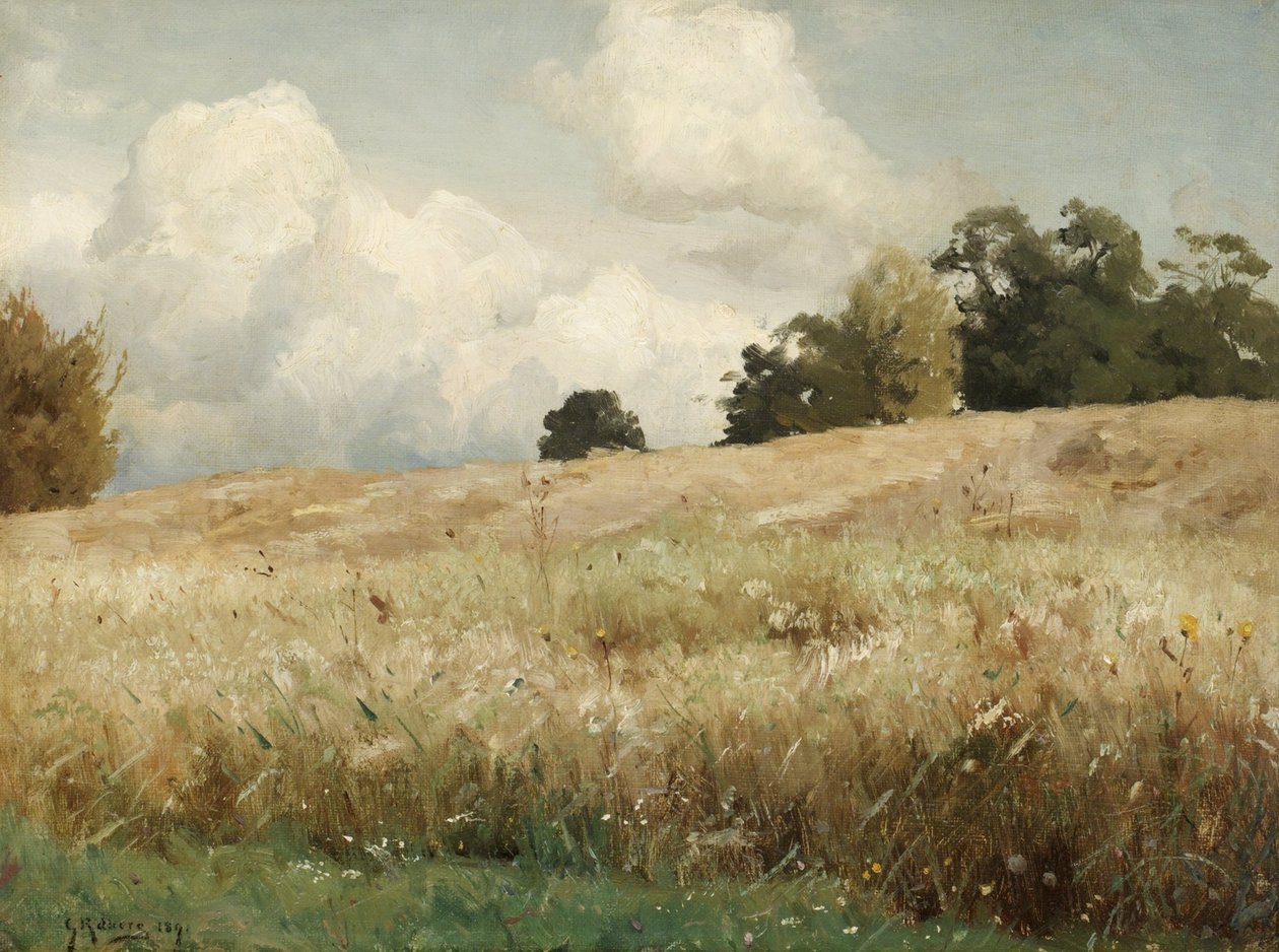 Sadesfalt, landskabsundersøgelse af Gustaf Rydberg