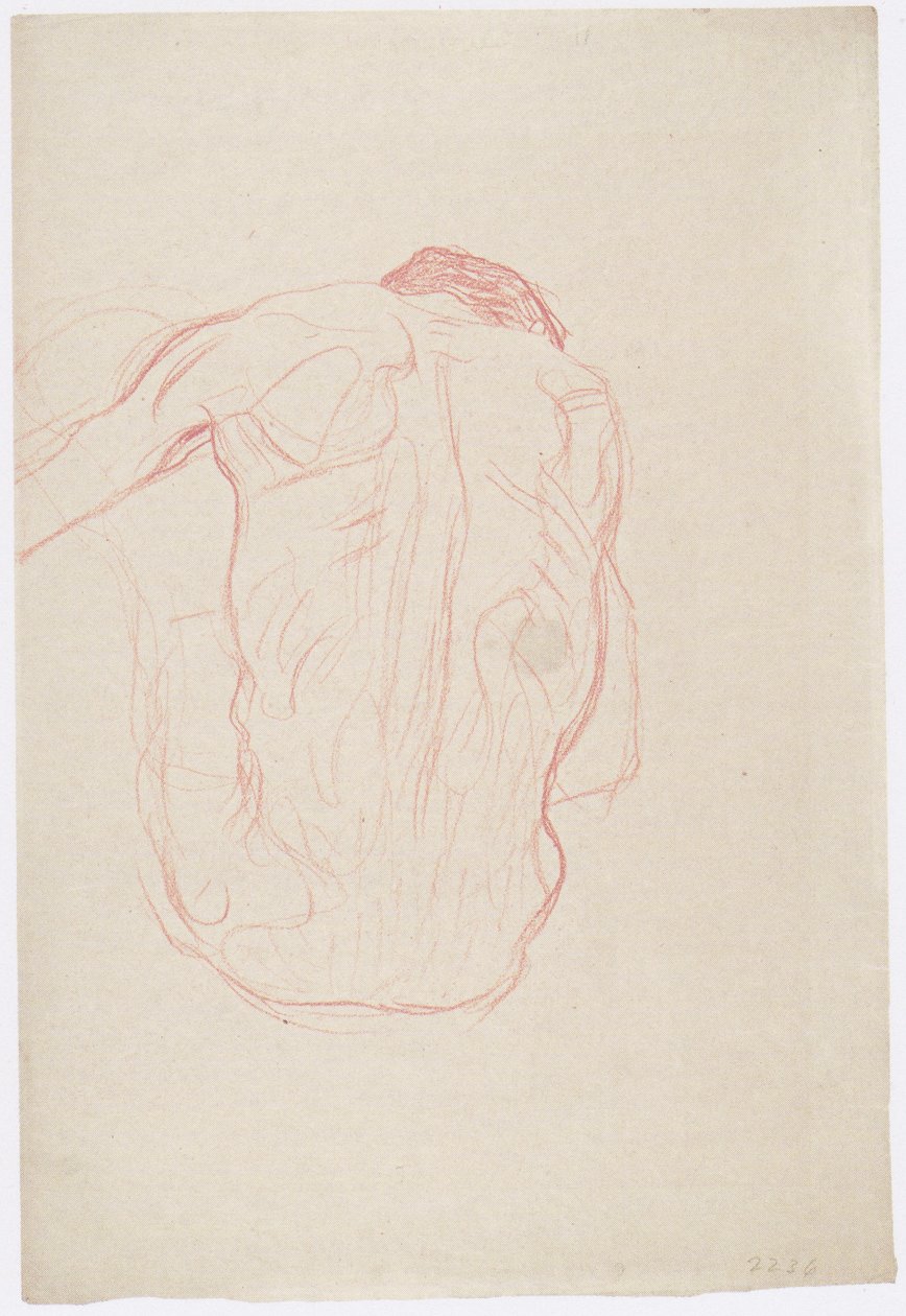 Sidder mandlig nøgen bagfra af Gustav Klimt