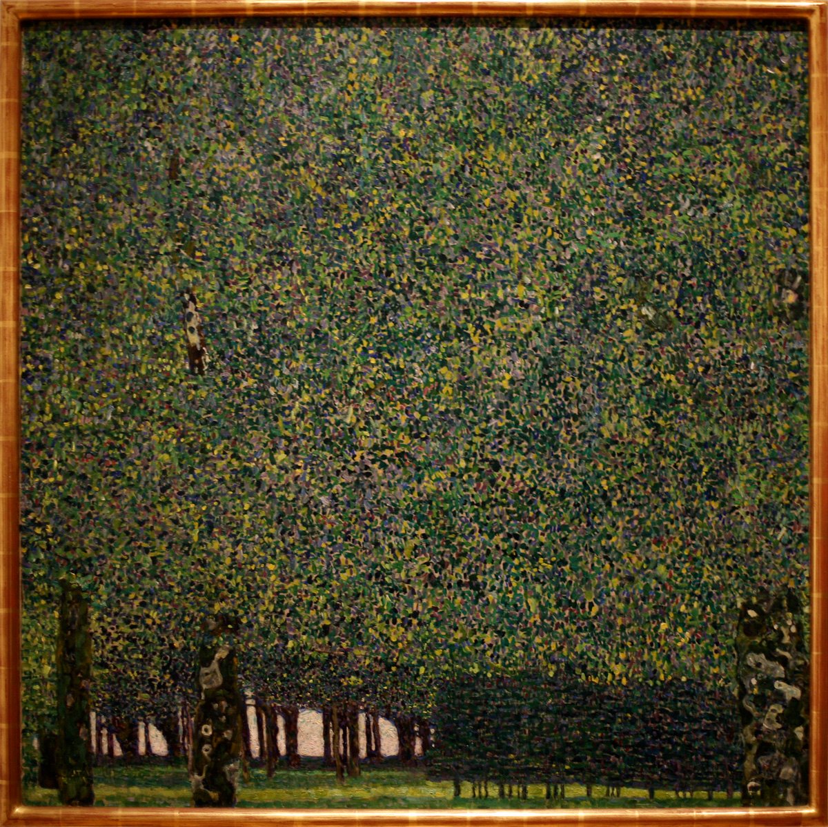 Parken af Gustav Klimt
