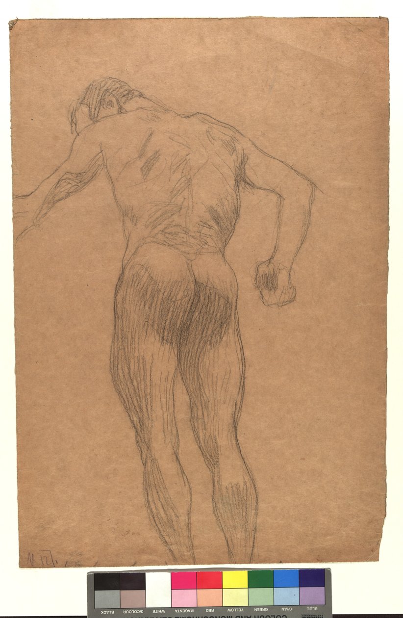 Männlicher Rückenakt in Untersicht af Gustav Klimt