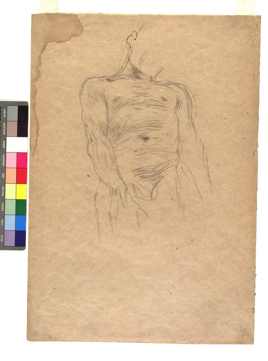 Männlicher Torso af Gustav Klimt